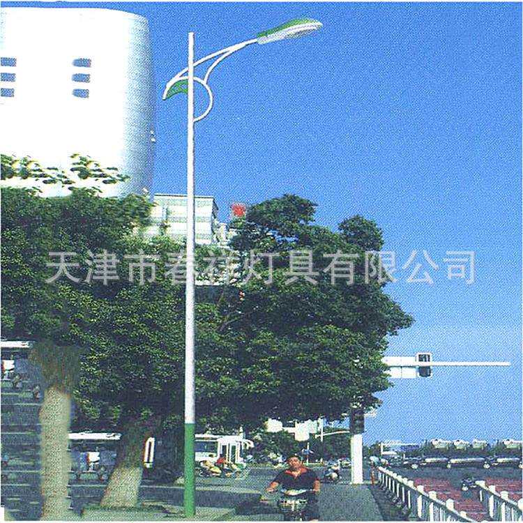 天津户外道路照明挑杆厂家生产路灯杆8米单弯路灯杆单臂杆单