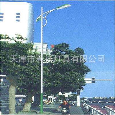 天津路灯杆厂家10米单弯路灯灯杆单臂杆led路灯灯杆照明灯杆