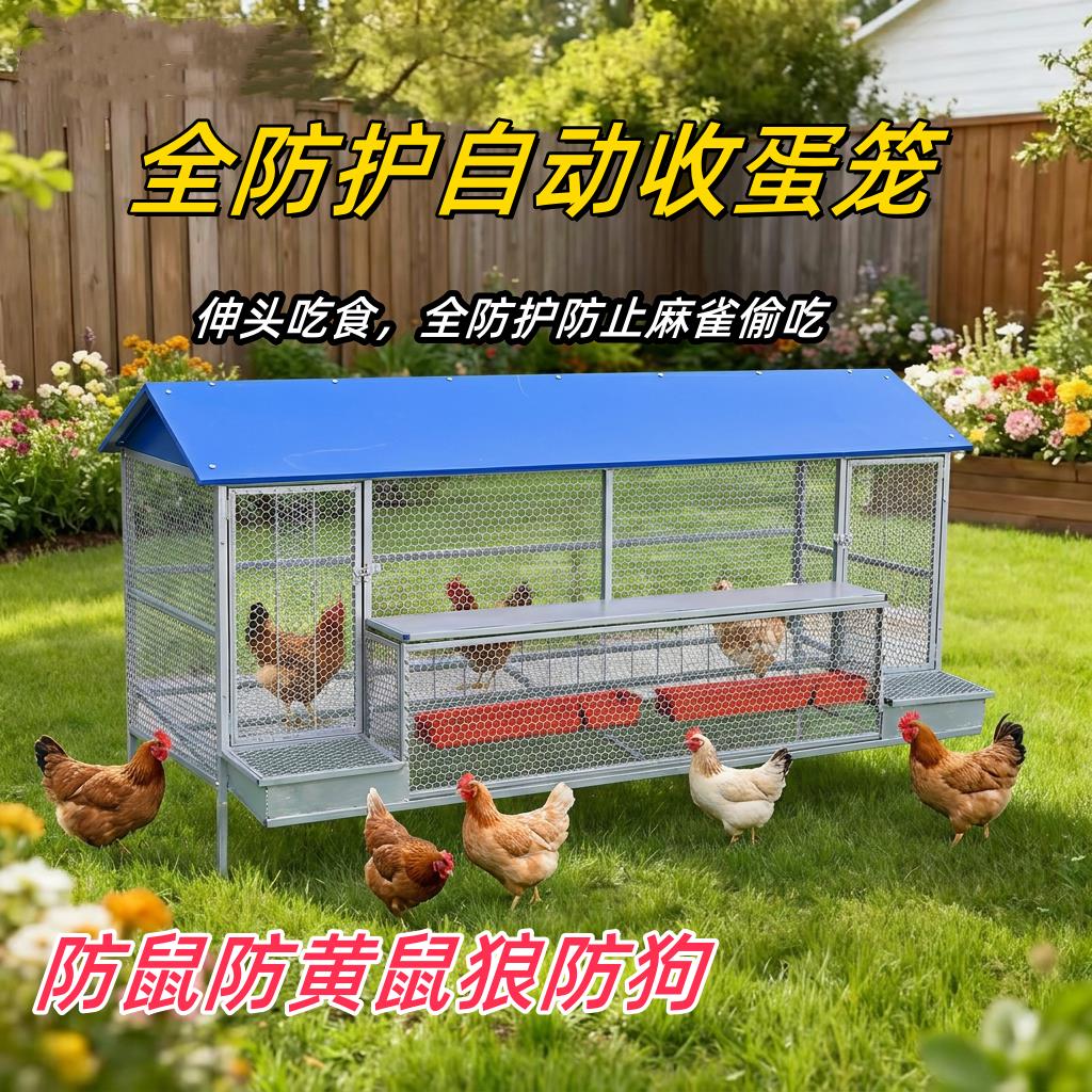 鸡笼子家用新型防雨自动收蛋防啄防狼防鼠加厚不锈全防护下蛋鸡笼