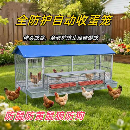 鸡笼子家用新型防雨自动收蛋防啄防狼防鼠加厚不锈全防护下蛋鸡笼