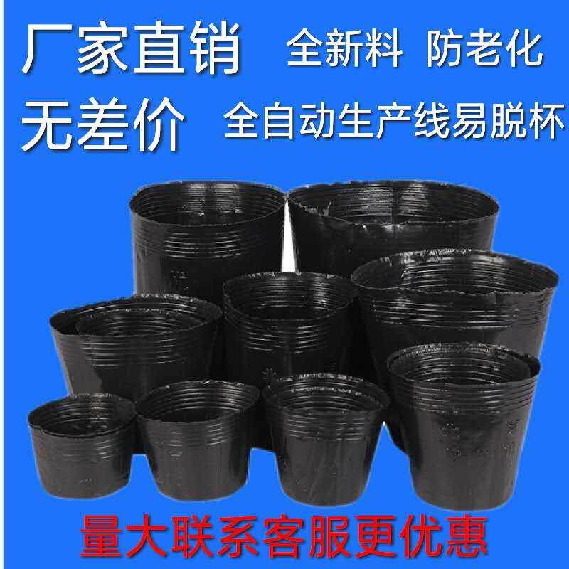 营养杯 营养钵 黑色防老化塑料育苗杯一次性育苗袋育苗盆厂家直销