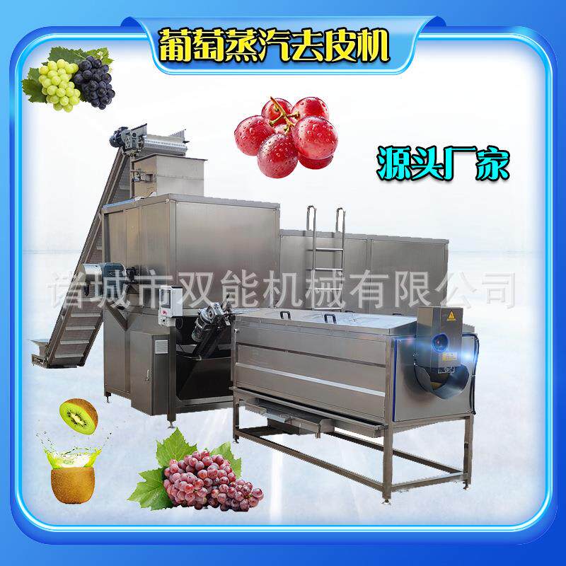 葡萄桃子蒸汽去皮机高温软化外皮机器多功能果蔬物理去皮机