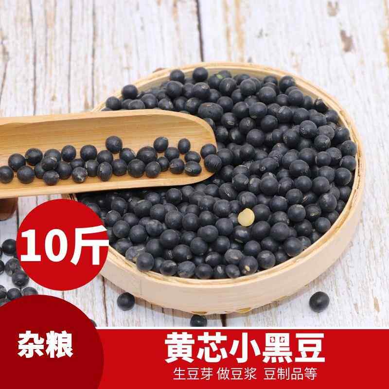 2024新东北黑黄豆农家自产黄芯心小黑豆浆芽五谷杂粮生黑小豆10斤