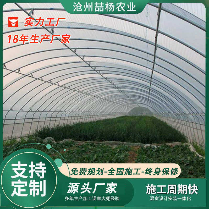 厂家供应 塑料大棚 春秋拱棚 蔬菜育苗大棚 保温大棚智能温室花棚,农机/农具/农膜,温室大棚支架,淘宝优惠券,粉丝福利购,淘宝优惠卷