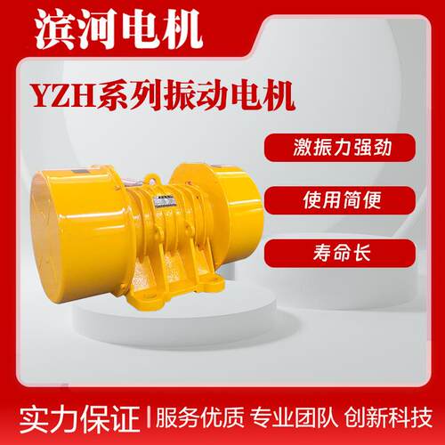 YZH-50-6BZ滨河通用型振动电机矿采石料给料机激振源