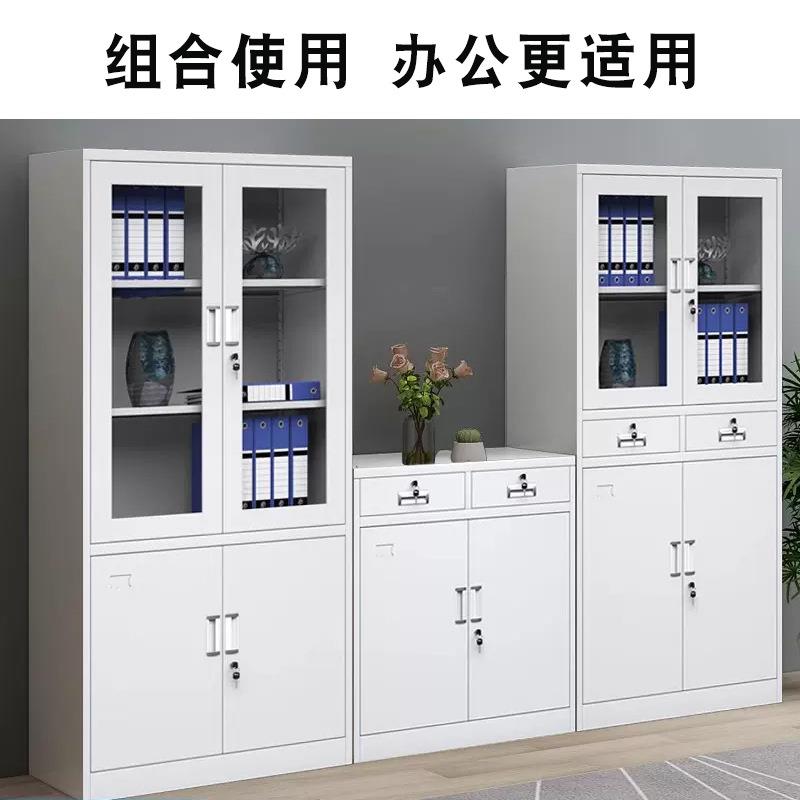 柜办公案用铁皮柜件柜钢制储物柜资0236-1料柜档柜带锁五文节凭证