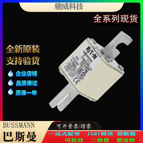 巴斯曼170M3059 170M3060 170M3061 经销销售价优 原装熔断器