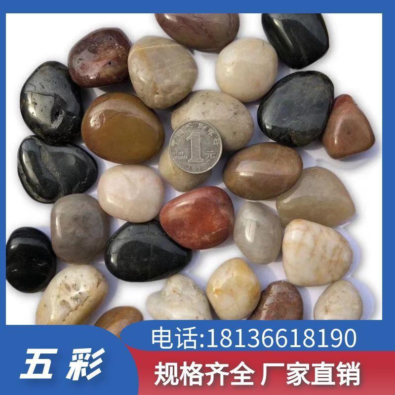 雨花石鹅卵石石头五彩石小石子花卉鱼缸园林铺路石庭院阳台景观石