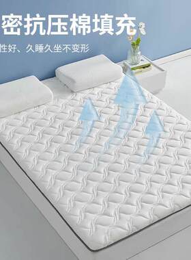 Q3Ya类床垫加厚软垫铺底榻榻米海绵床褥垫子出租房学生宿舍单双人