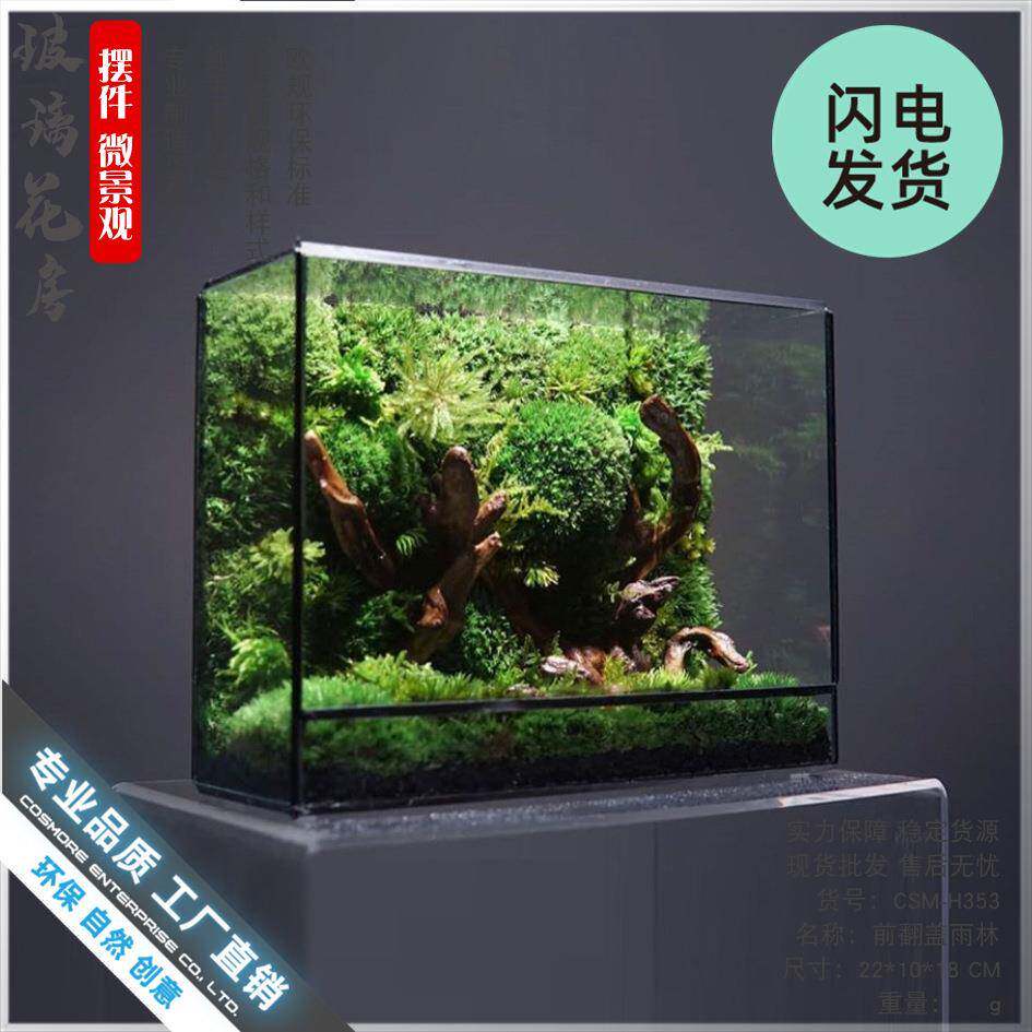 微景观几何玻璃花房苔藓墙玻璃缸桌面生态瓶造景植物微缩森林景观