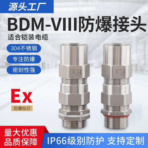 304不锈钢防爆铠装接头内外螺纹接管式电缆夹紧双密封接头防水DN2