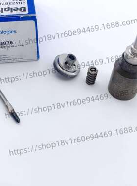 德尔福原厂28423876 L499PBK油嘴套件配BEBJ1F08001/BEBE1R14001