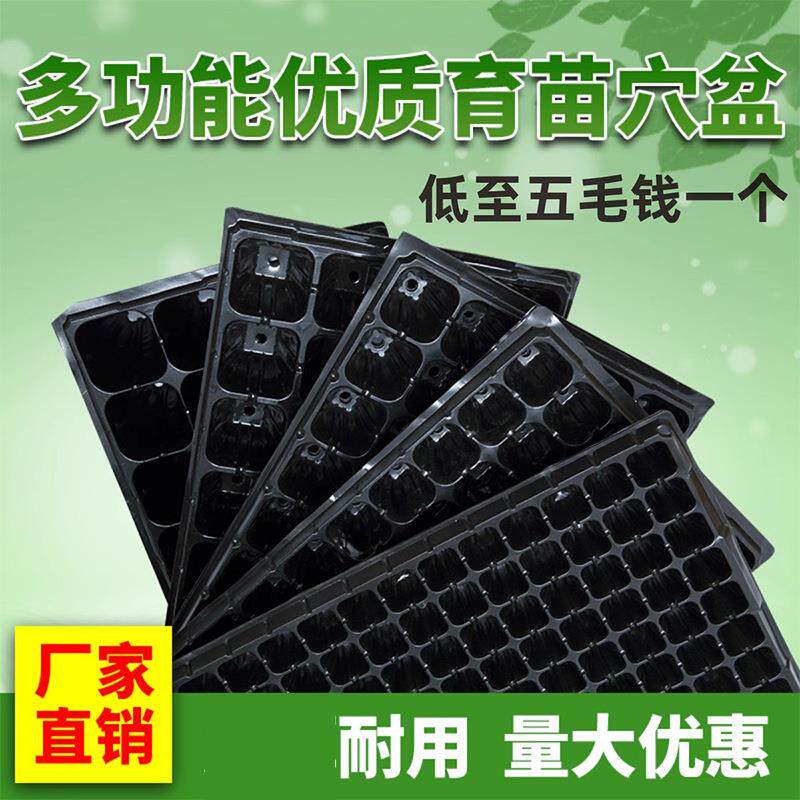 育苗穴盘育苗盘育苗杯塑料营养钵辣椒多肉蔬菜草莓苗木育苗器扦插