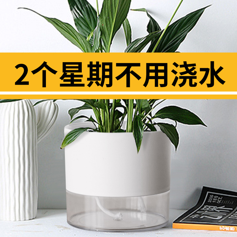 仙人球仙人掌盆栽办公室专用桌面轻奢高级感自吸水花盆水培种植盆