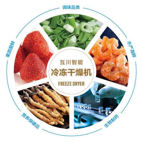 水 冻XBS干设备生 粉体冷冻干燥机 冻干蔬果产机果械实验室冻干机