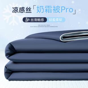 Sofe Comforter Duvet Blanket Air Condition Quilt Summer 夏被