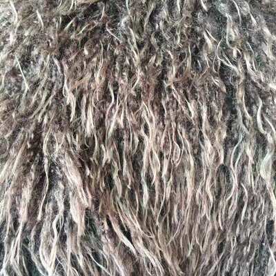 2023新款奥丝羊毛滩羊毛长毛绒