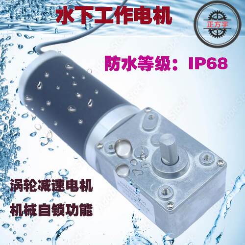 ZFY5840-42防水等级IP68减速电机金属齿轮蜗轮蜗杆防尘潜水电动机