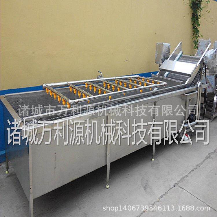 净菜加工线果蔬清洗机叶类蔬菜清洗设备高压喷淋芹菜韭菜清洗机