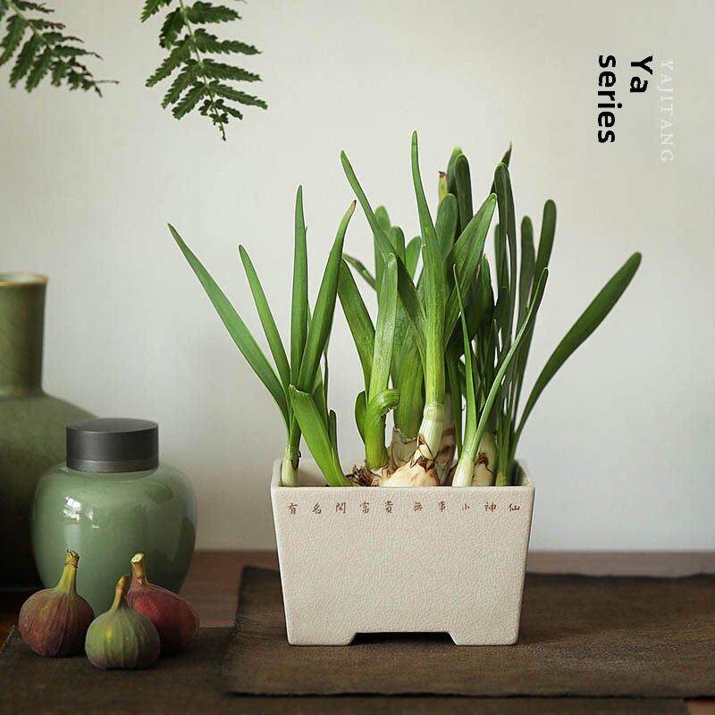 雅辑 无事小神仙 水仙盆菖蒲盆水培花盆 诗文系列 文房茶室清供