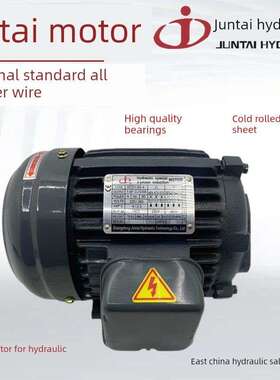 骏泰液压专用马达Aeeh-80-4 90L 100L 112m 132S-4油泵马达