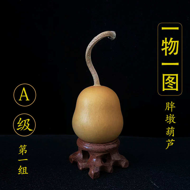 天然胖墩小葫芦一图一物精品文玩手捻手把件摆件胖墩葫芦带叶子