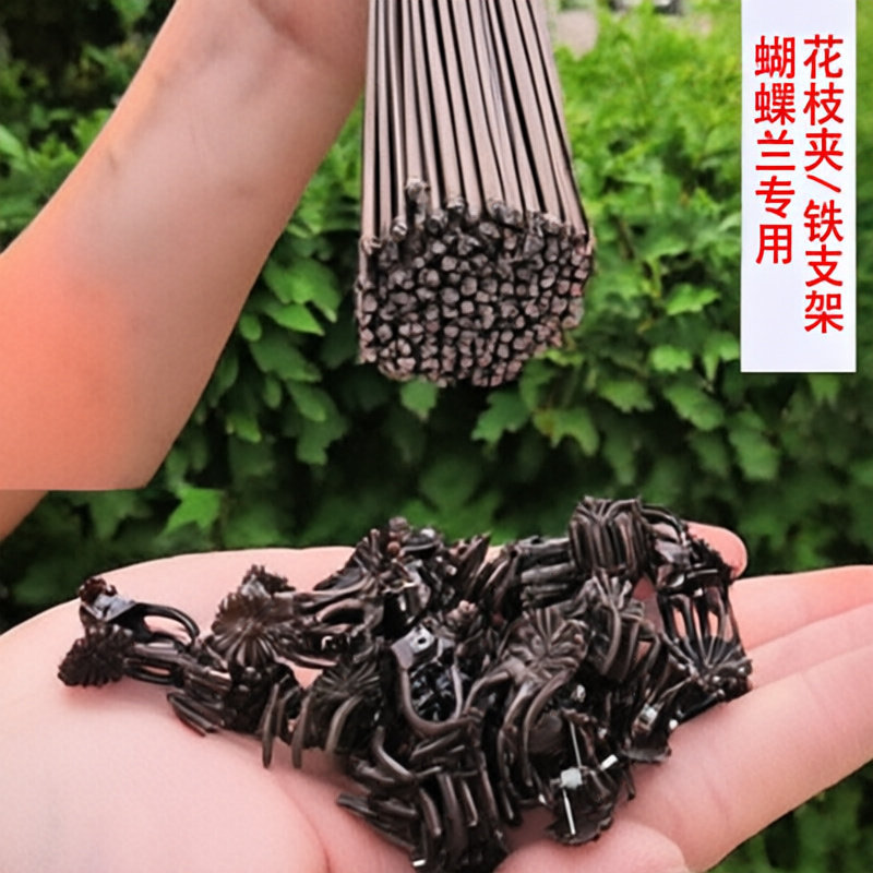 蝴蝶兰支架支撑造型园艺用品套装