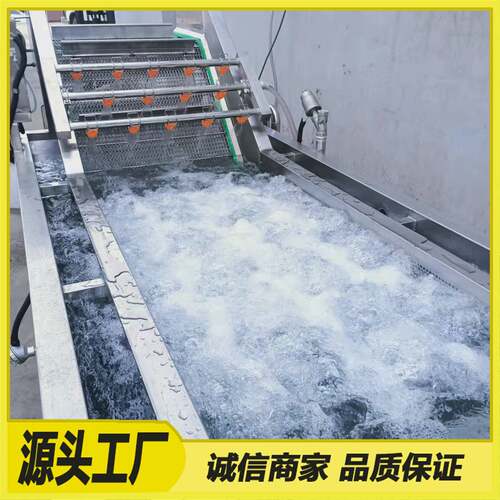 全自动商用果蔬气泡清洗机多功能海鲜清洗设备洗菜机海参清洗机