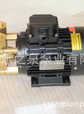 Q3系列小型耐高温BOE热油旋涡泵导热油管道增压L系统用0涡流-泵