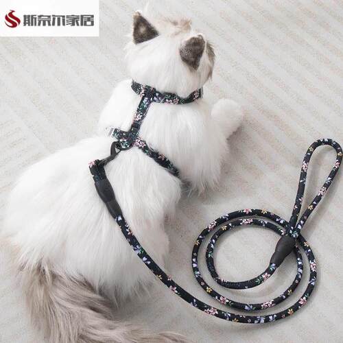 猫绳牵引绳小狗狗牵引绳遛猫绳猫咪牵引绳防挣脱外出专用幼猫德文