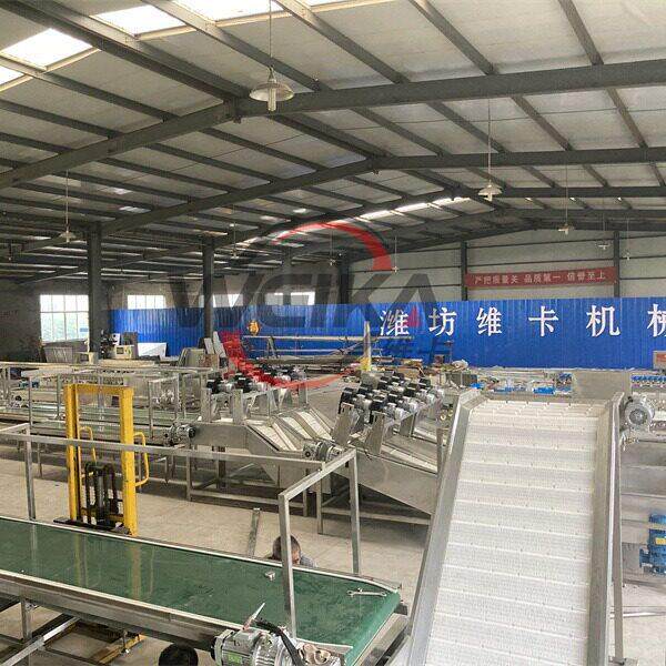 樱桃选果机价格 小型分选机厂家 家用分拣机樱珠筛选机果蔬