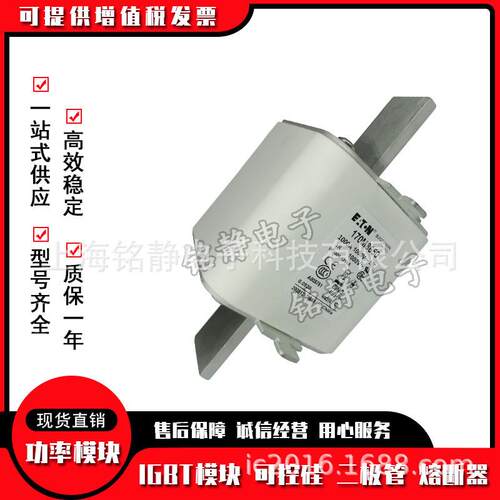 170M8605 170M8606 170M8607 170M8608巴斯曼熔断器170M8609