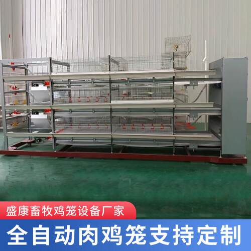 鸡笼三层传送带肉鸡笼双体层叠式鸡舍机械养殖用框架全自动养殖场