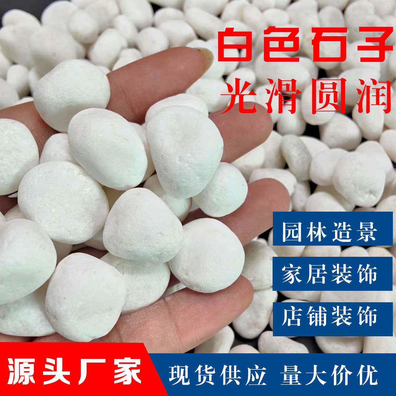 白色石子园林造景庭院铺面磨圆水洗石园艺盆栽小白石子白色鹅卵石