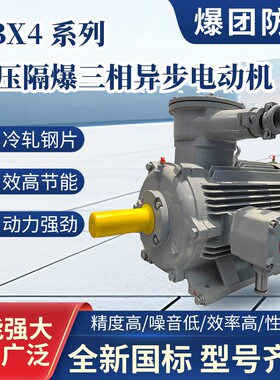 爆团防爆-YBX480-400系列高效率低压隔爆型三相异步电动机IE4