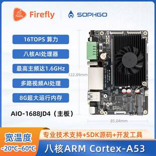 AIO-1688JD4八核AI主板BM1688 16T大模型 国产化 算能SOPHON