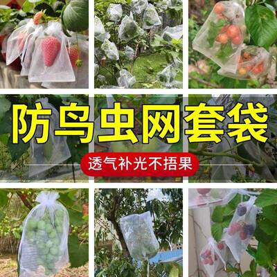 防鸟水果拉绳网纱套袋防虫网袋桃子苹果番石榴梨子枇杷葡萄保护袋