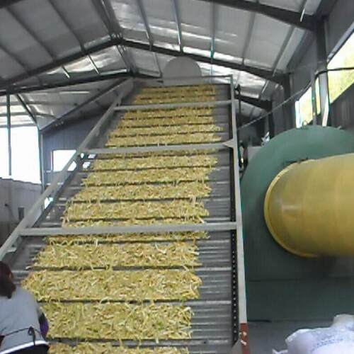 DWT系列脱水蔬菜干燥机 干燥面积风压风量温度可调节 厂家供应
