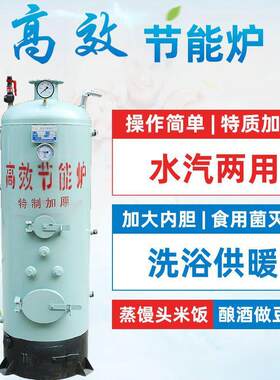 蒸汽锅炉烧煤烧柴节能酿酒灭菌做豆腐煮豆浆取暖地暖煮料洗浴热水