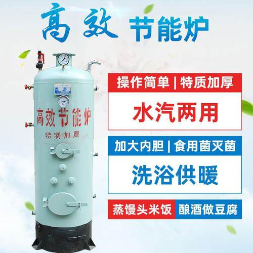 蒸汽锅炉烧煤烧柴节能酿酒灭菌做豆腐煮豆浆取暖地暖煮料洗浴热水
