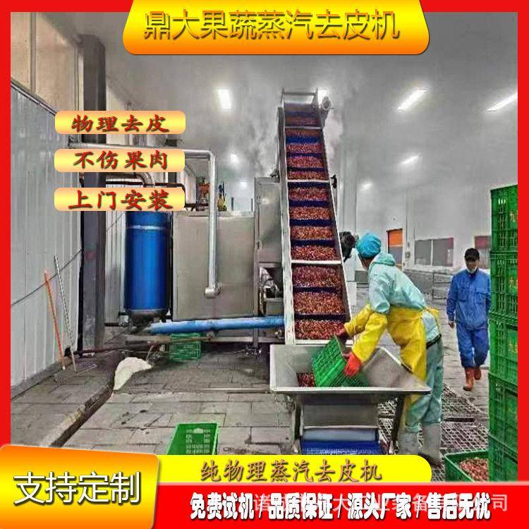葡萄去皮机无化学剂性价比厂家直销提供技术指导与维护
