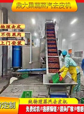 全自动蒸汽去皮设备小土豆红薯芋头深加工食品级304不锈钢