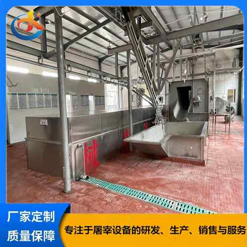 全自动不锈钢家禽运河烫池屠宰场用运河烫猪牛羊运河烫设备