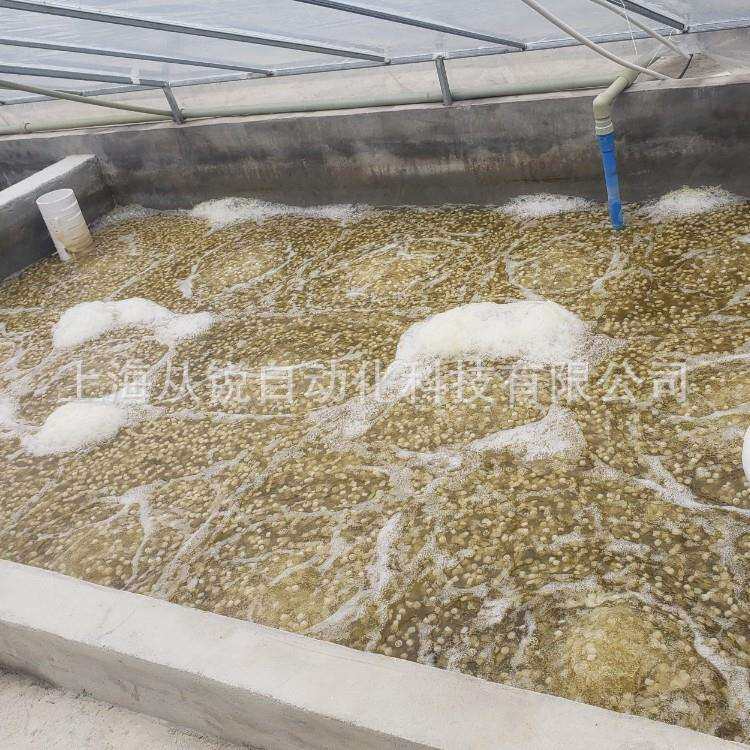 上海从锐1000㎡养虾设备/罗氏沼虾养殖设备/工厂化养虾系统