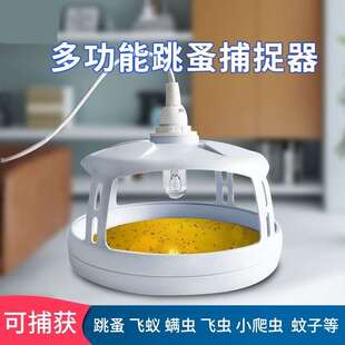 小飞虫诱捕灯虫控除跳蚤器家用床上人去药粉灭跳蚤蚊趋光物理杀灭