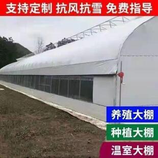 养殖大棚全套大棚骨架家用温室种植养鸡羊牛棚拱杆养殖棚保温大棚