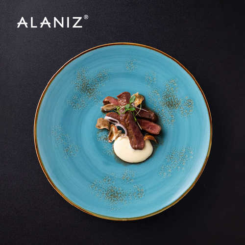 alaniz南兹梵高平盘牛排餐盘家用陶瓷西餐盘日式个性意面盘餐具