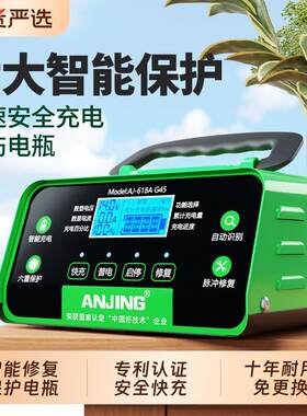 多功能铅酸蓄电池12v24智能汽车启停电瓶充电器充满自动断电