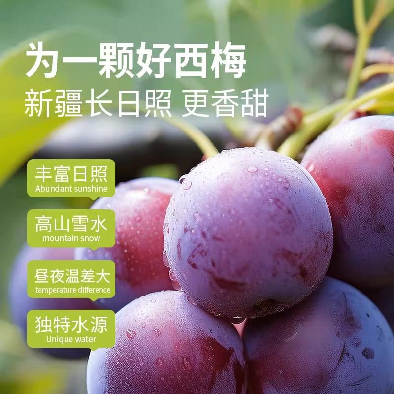 喀什特产西梅干无添加蔗糖精孕妇休闲解馋零食低脂果脯官方旗舰店