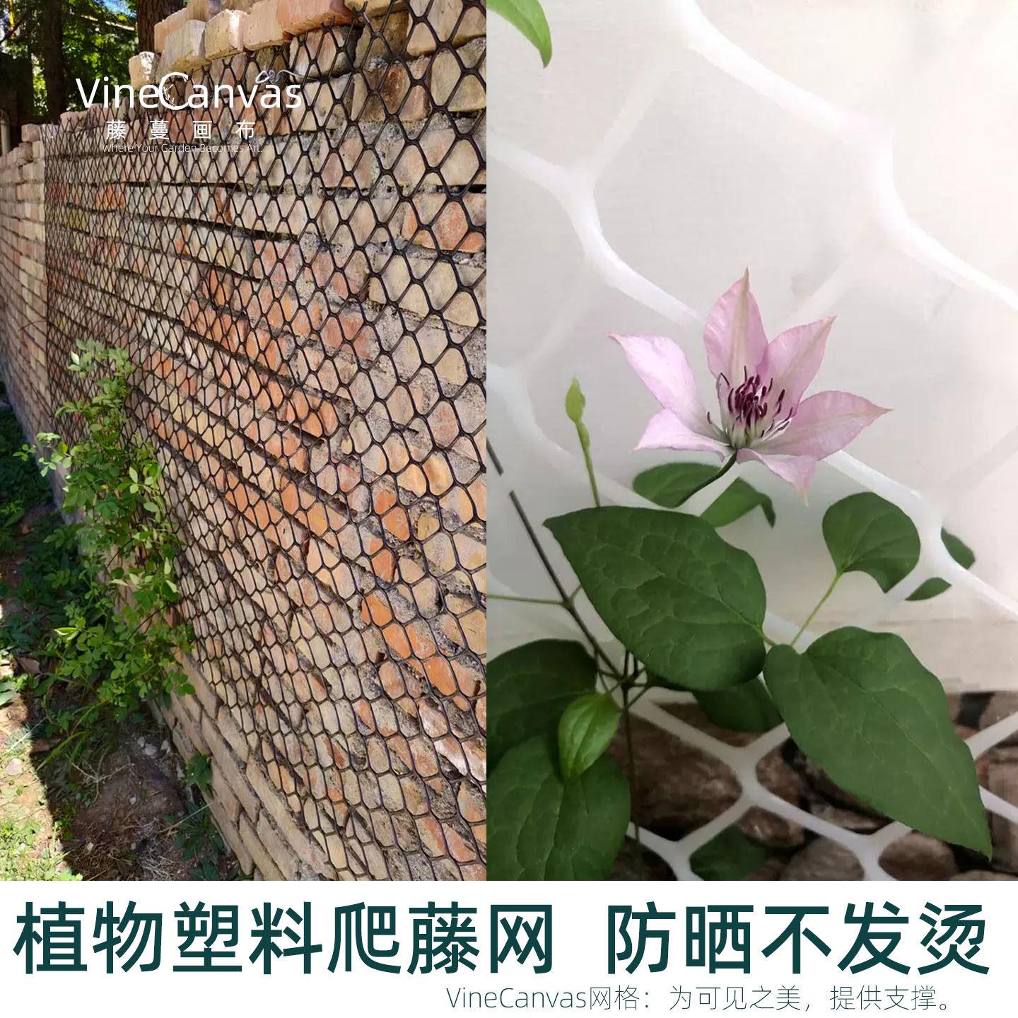 新型花墙爬藤网塑料挂墙网格上墙花架月季花铁线莲爬藤架子牵引网